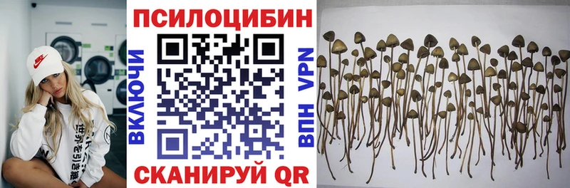 Купить Саки Псилоцибиновые грибы мухоморы