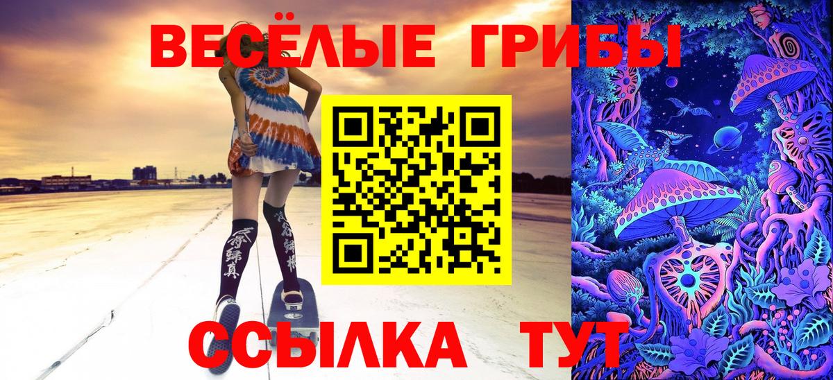 Псилоцибиновые грибы Cubensis Саки