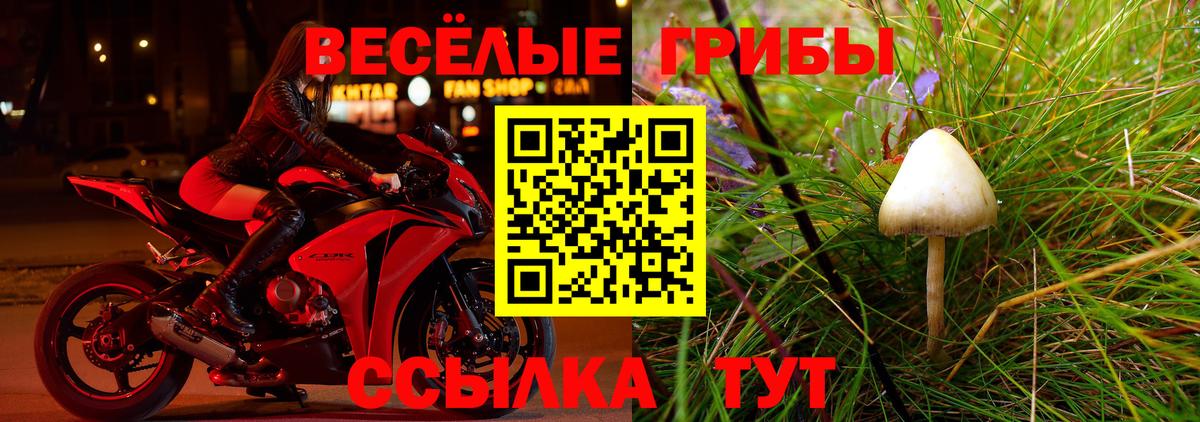 Саки  Псилоцибиновые грибы мухоморы  Вход с VPN 