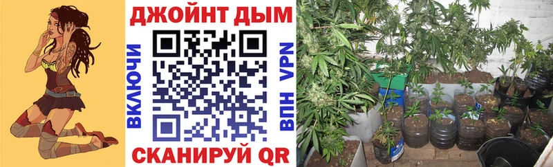 Конопля THC 21%  Купить где  Саки 